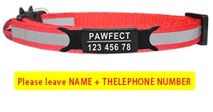 Reflective Cat Safety Buckle Collar - Bakyat Store