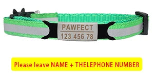 Reflective Cat Safety Buckle Collar - Bakyat Store