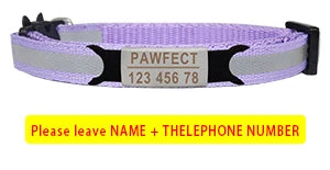 Reflective Cat Safety Buckle Collar - Bakyat Store