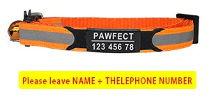 Reflective Cat Safety Buckle Collar - Bakyat Store