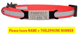 Reflective Cat Safety Buckle Collar - Bakyat Store