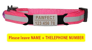 Reflective Cat Safety Buckle Collar - Bakyat Store