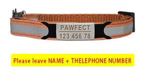 Reflective Cat Safety Buckle Collar - Bakyat Store