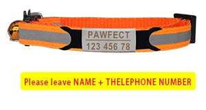 Reflective Cat Safety Buckle Collar - Bakyat Store