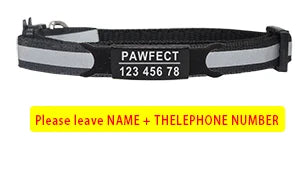 Reflective Cat Safety Buckle Collar - Bakyat Store