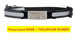 Reflective Cat Safety Buckle Collar - Bakyat Store