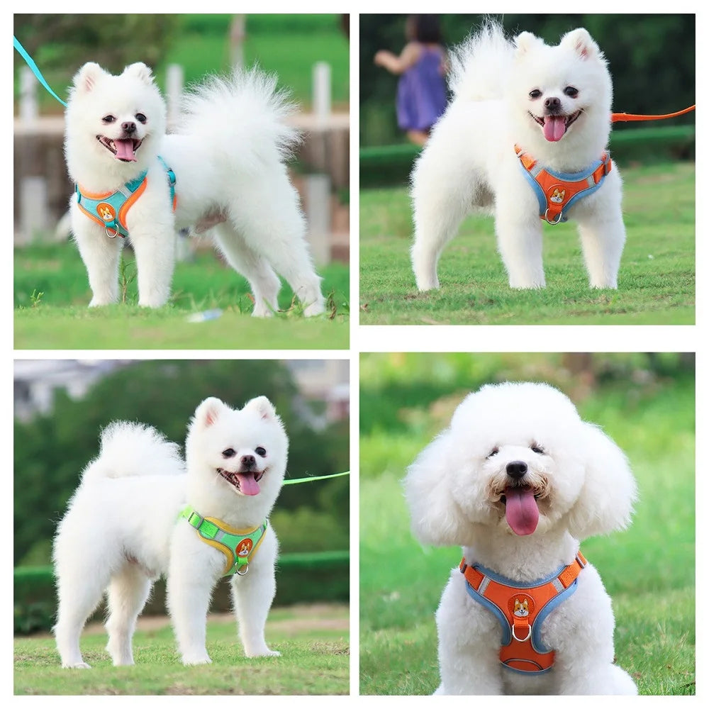 Dog Harness No-push Chest Vest Dog Harness and Leash Set Pets Accessories - Bakyat Store