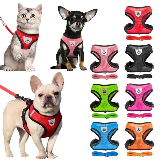 Breathable Mesh Cat Small Dog Harness - Bakyat Store