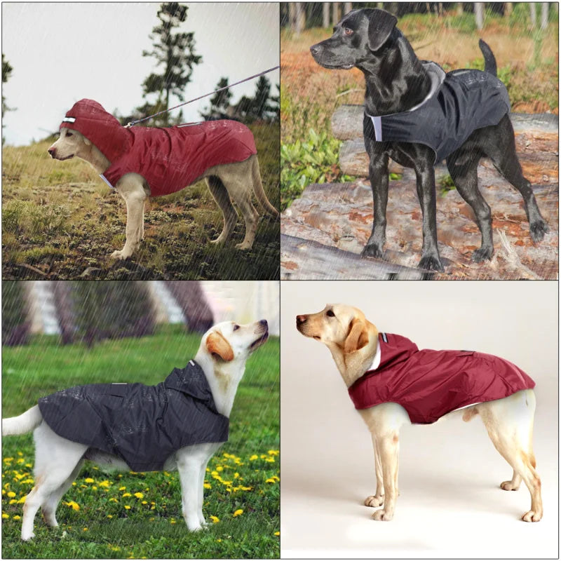 Dog Raincoat Waterproof Hoodie Jacket - Bakyat Store