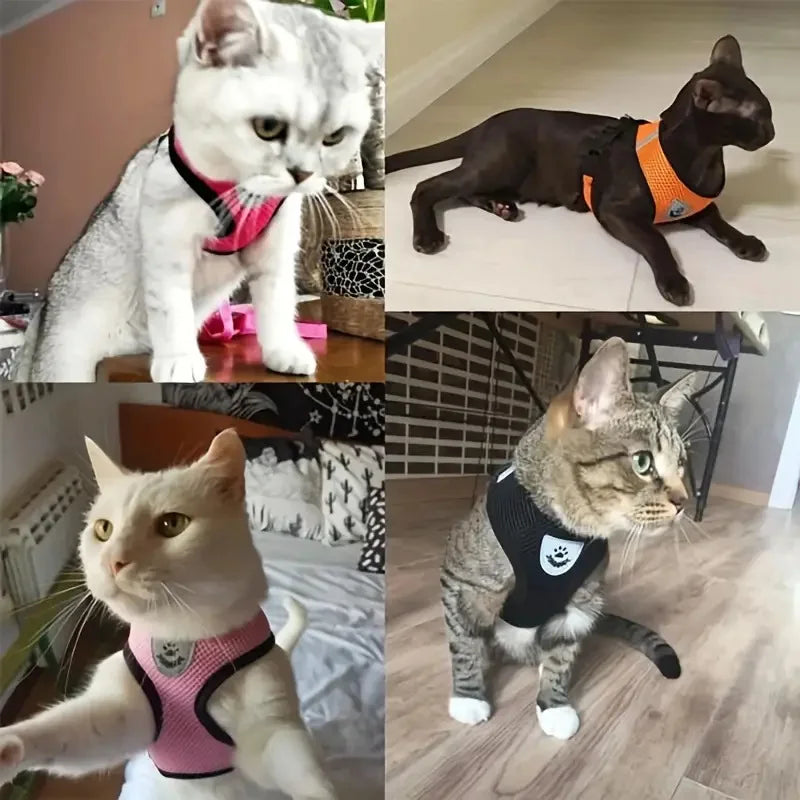 Breathable Mesh Cat Small Dog Harness - Bakyat Store