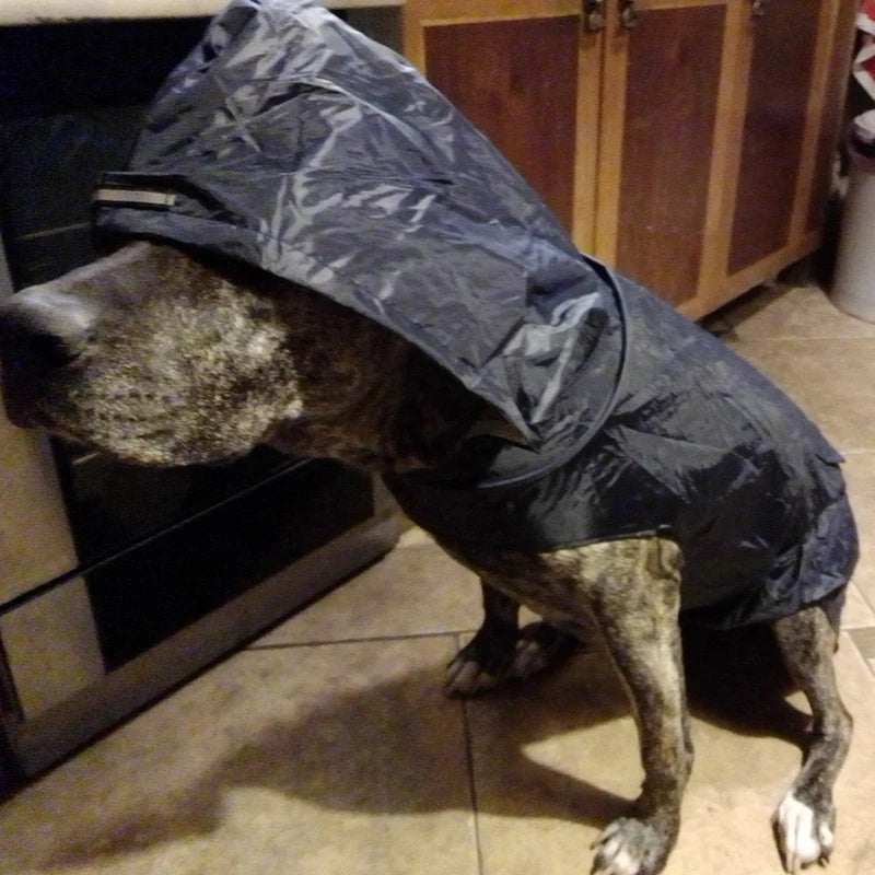 Dog Raincoat Waterproof Hoodie Jacket - Bakyat Store