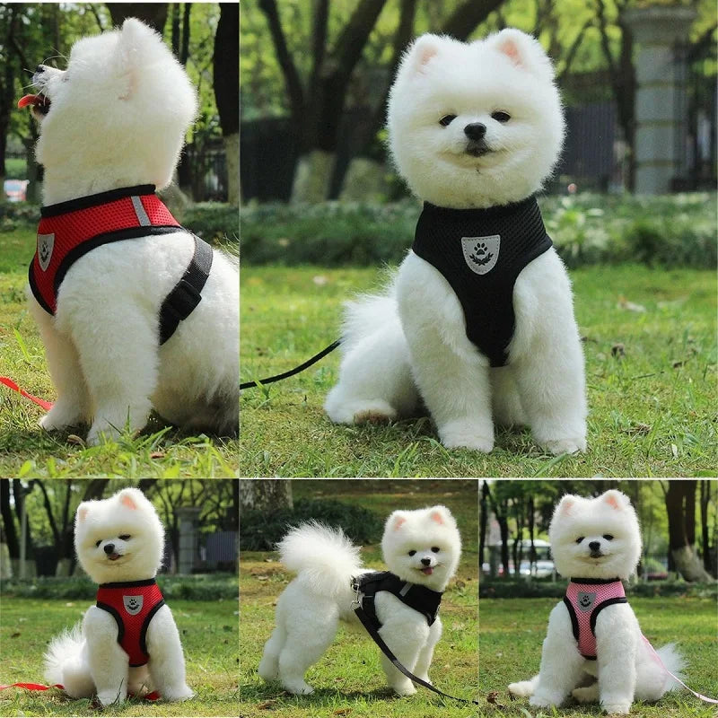 Breathable Mesh Cat Small Dog Harness - Bakyat Store